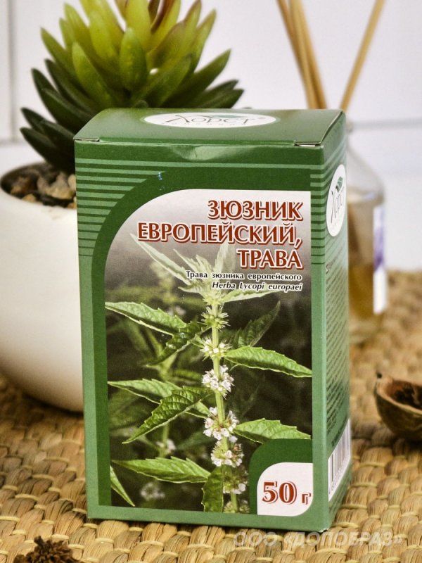 Зюзник Европейский трава 50г