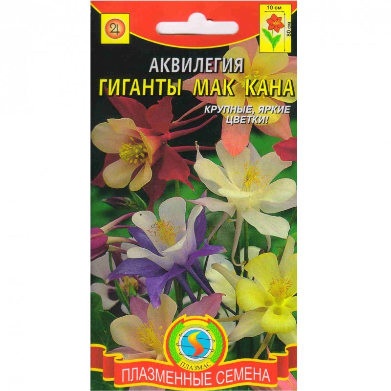 Аквилегия Мак Кана гигант