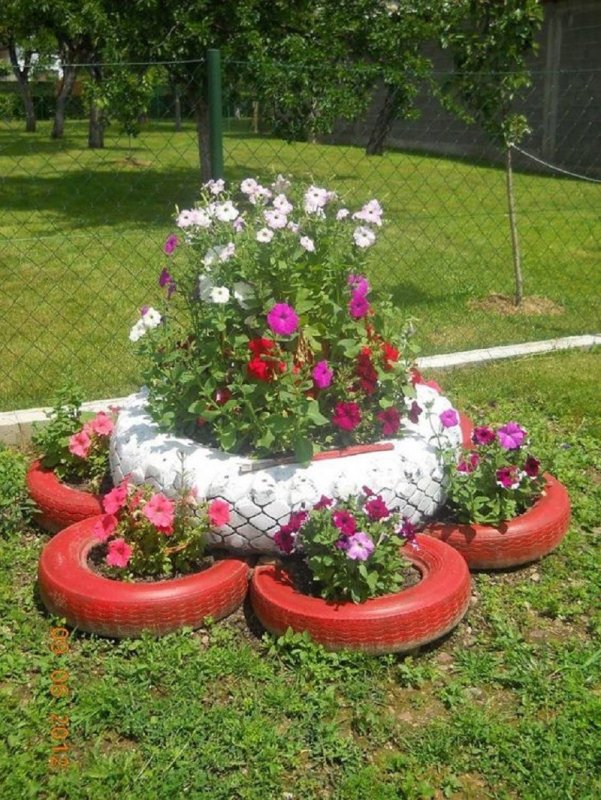 Петуния жаркое лето