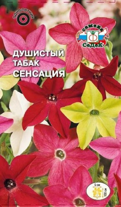 Табак душистый СЕДЕК