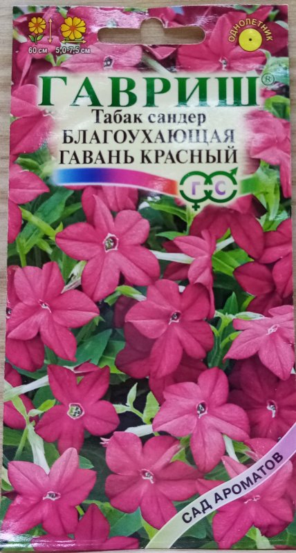 Табак крылатый Сандер красный