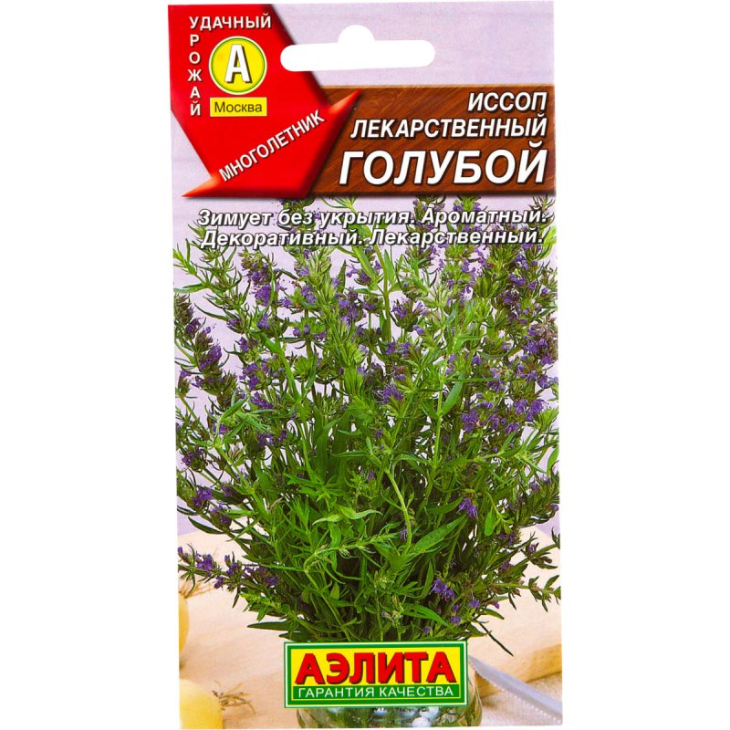 Иссоп Arista
