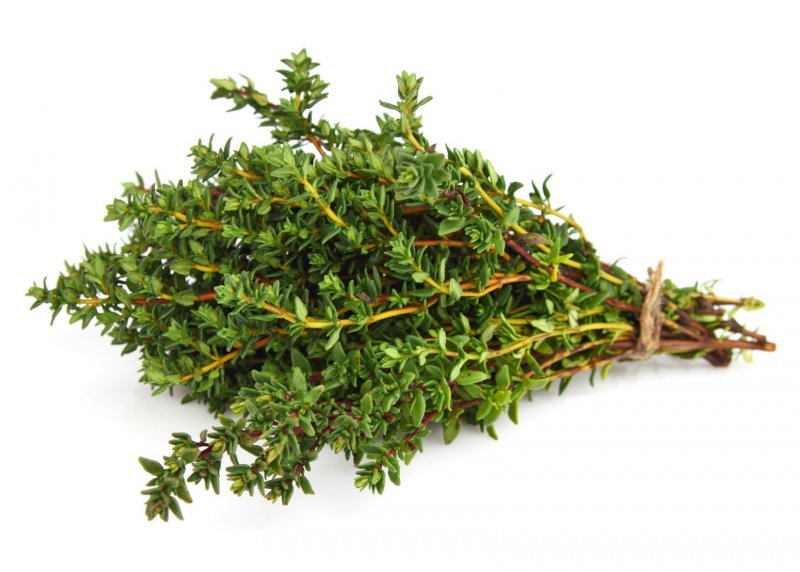 Тимьян обыкновенный Thymus vulgaris