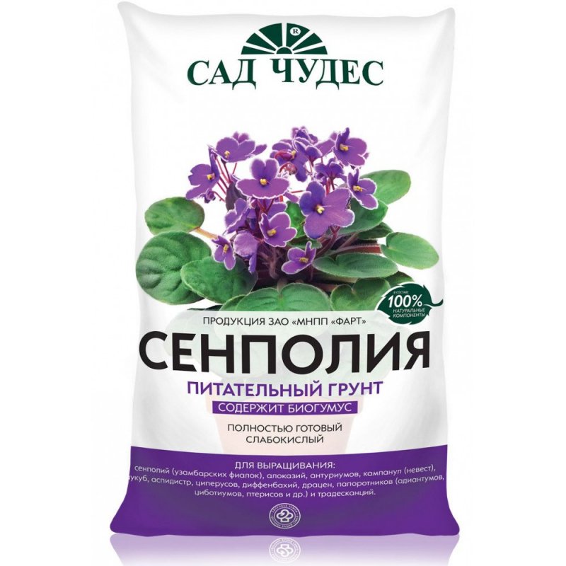 Герань бордюрная