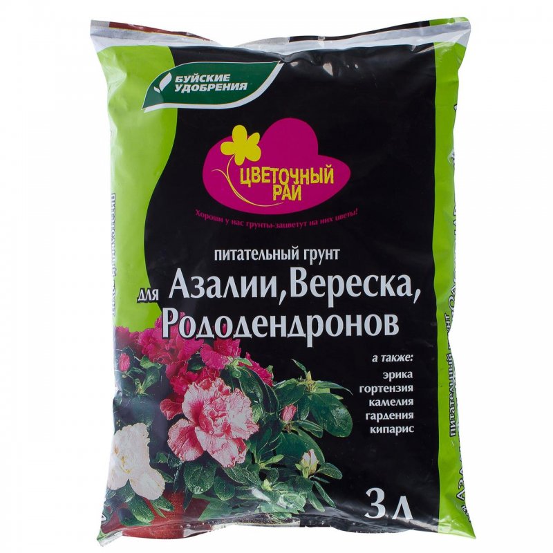 Корни пеларгонии
