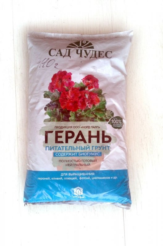 Герань освещение