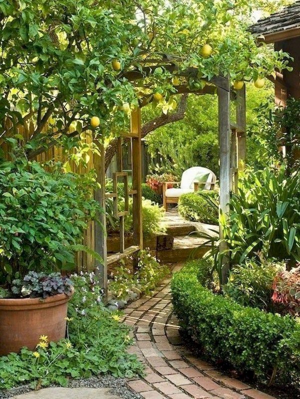 Гарден сад Garden Sad