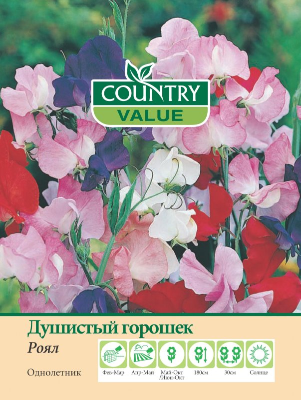 Душистый горошек Империя