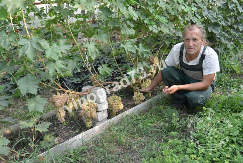 Данилюк Петр Петрович