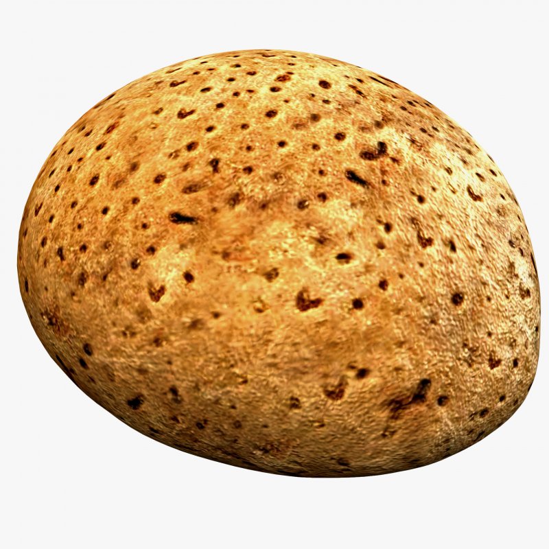 Мускатный орех дерево
