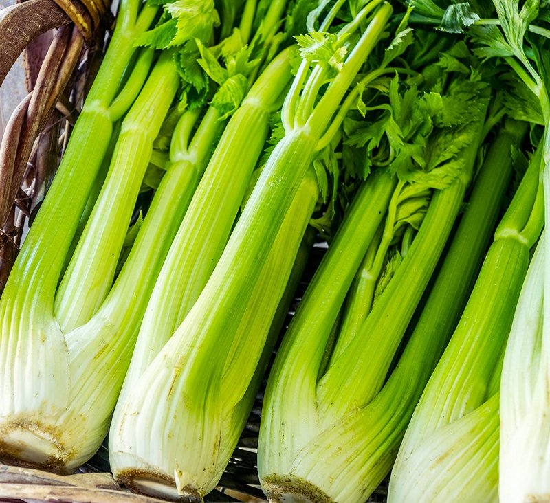 ВКУСВИЛЛ сельдерей черешковый