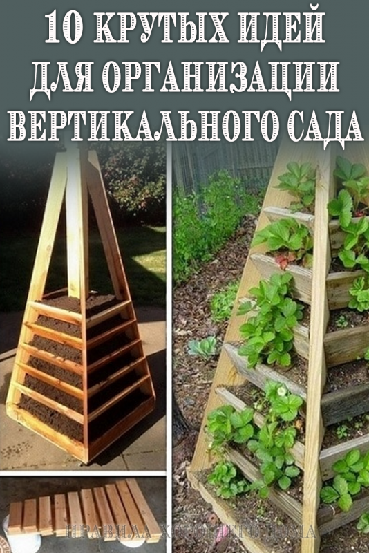 Грядка Виктории в огороде