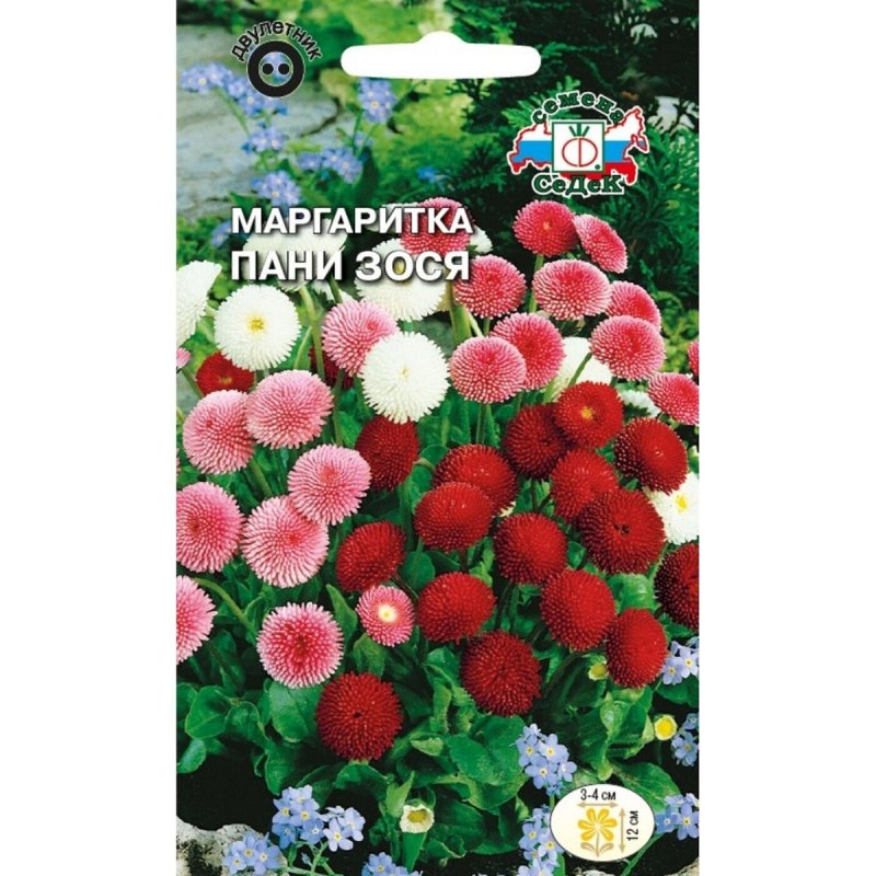 Семена маргаритки СЕДЕК пани Зося смесь 3 г