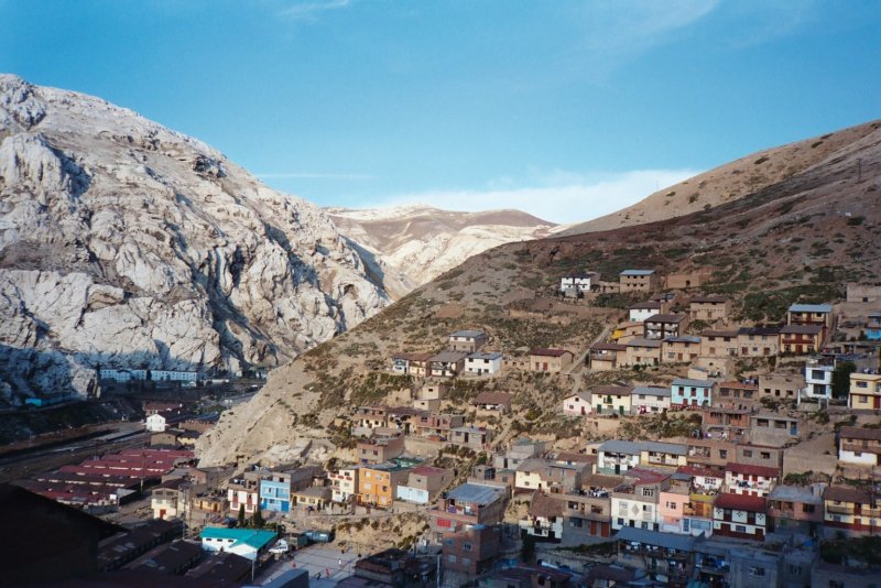 Кактус Субматукана