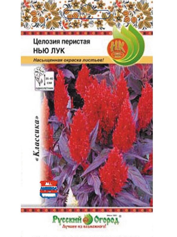Целозия Фирст фламе ред