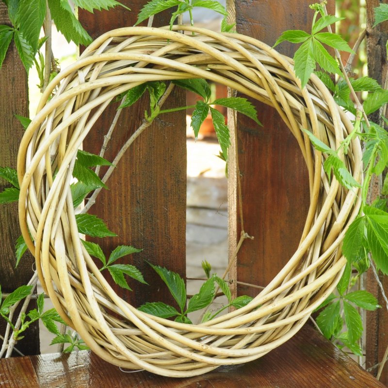 Лоза из ивы