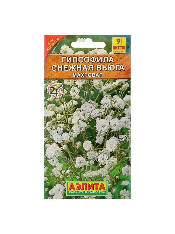 Гипсофила Снежная вьюга (62 фото)