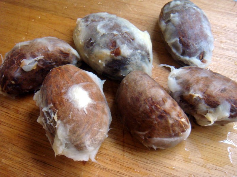 Baсuri (Бакури)