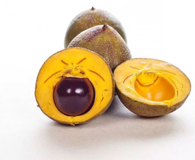 Pouteria Lucuma