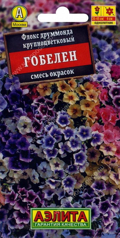 Флокс гобелен смесь окрасок Аэлита