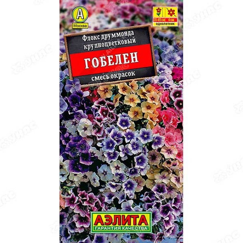 Флоксы друммонда однолетние