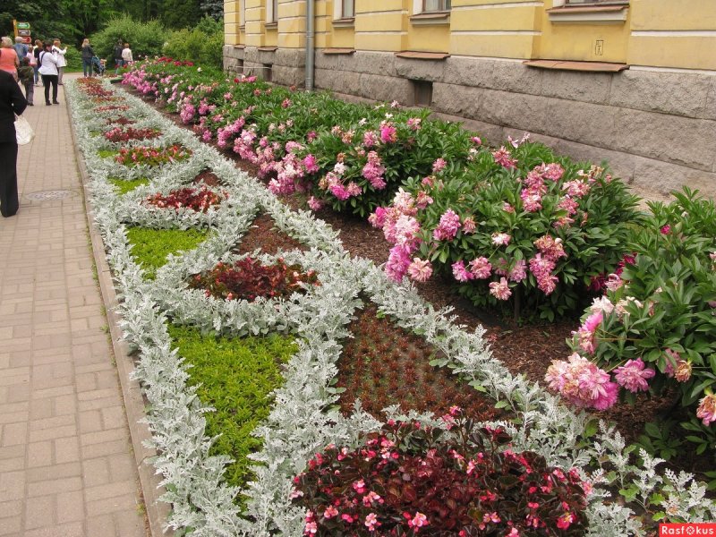 Клумба рабатка