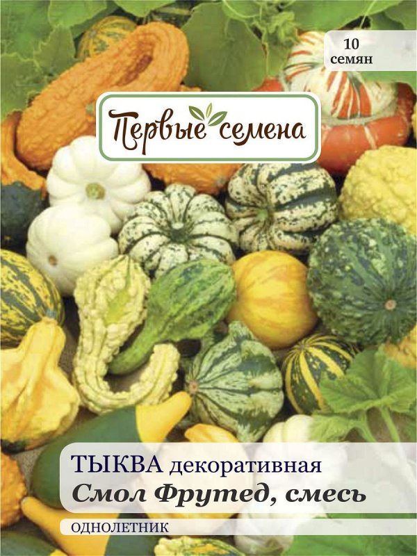 Тыква декоративная Шахрезада звезды