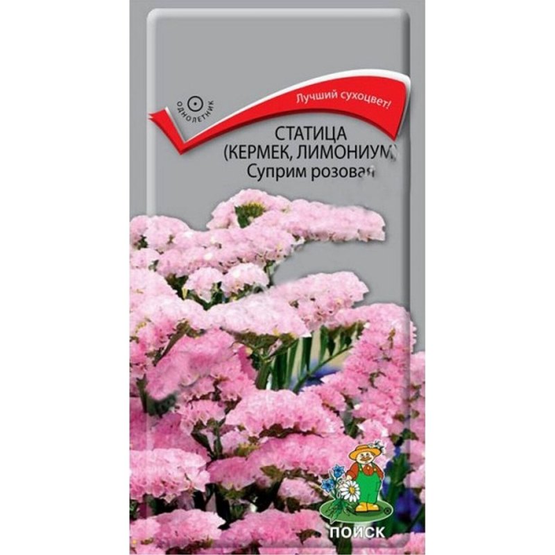 Статица Суприм семена