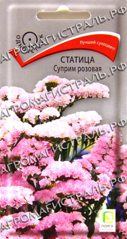 Статица Суприм семена
