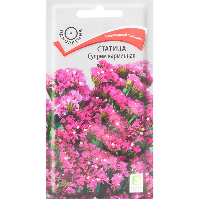 Статица Суприм цветок