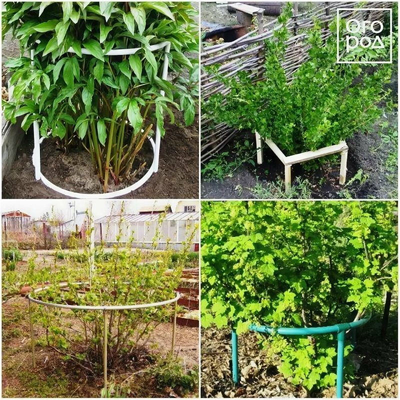 Опоры для плодовых кустов