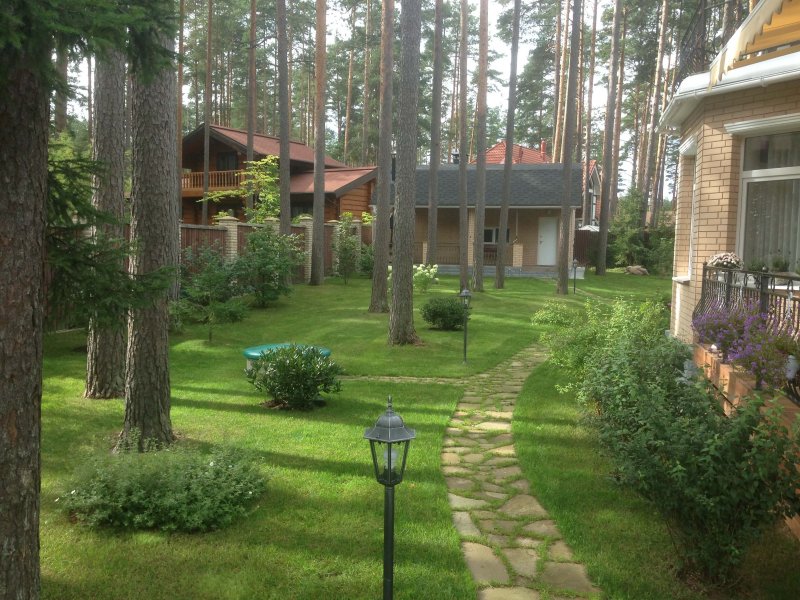 Планировка деревьев на участке