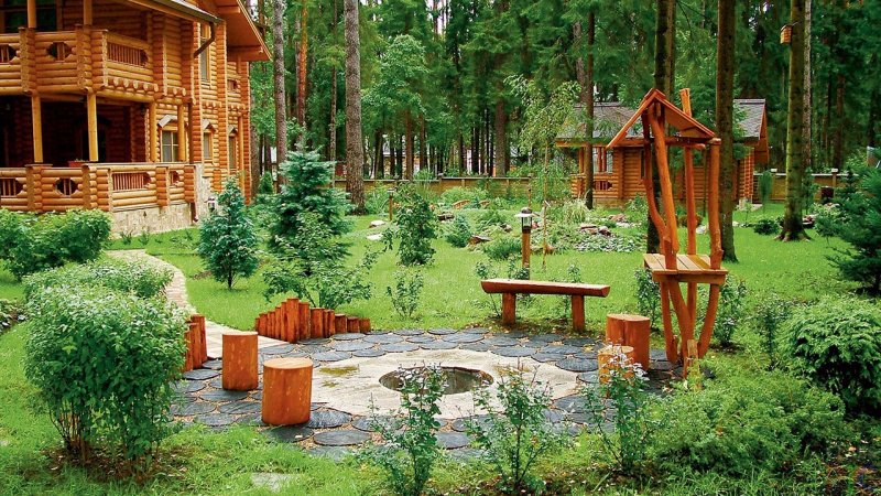 Берёза повислая