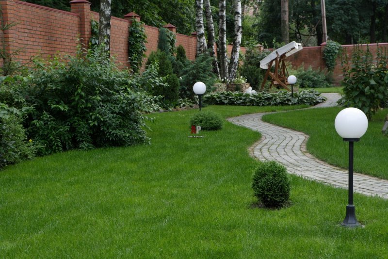 Ландшафт участка с соснами