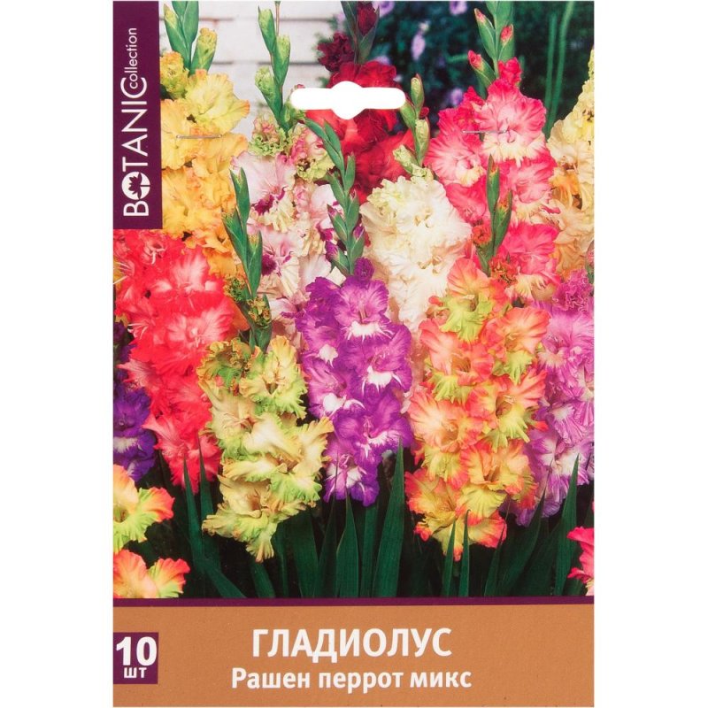 Гладиолус микс
