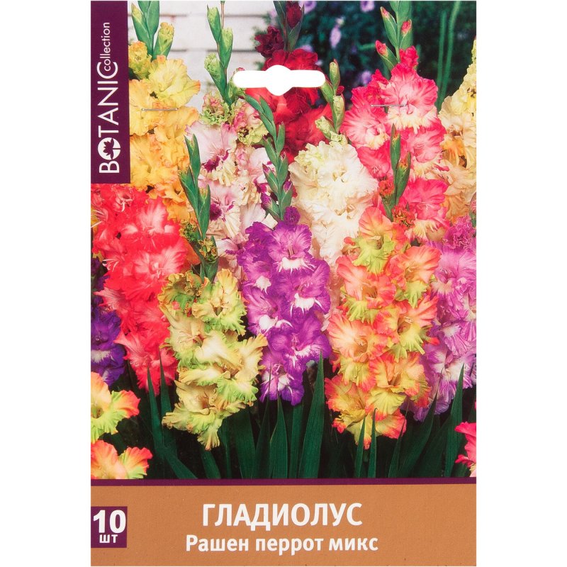 Гладиолус Пэррот микс