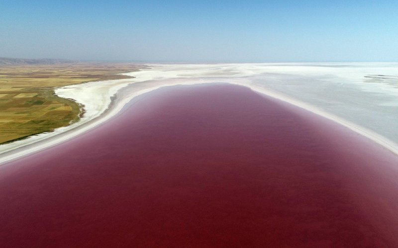 Dunaliella Salina озеро