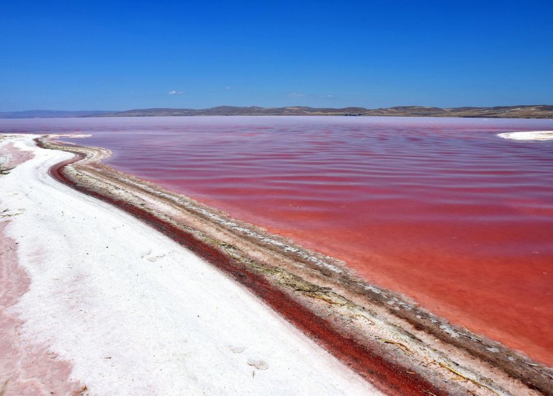 Dunaliella Salina озеро