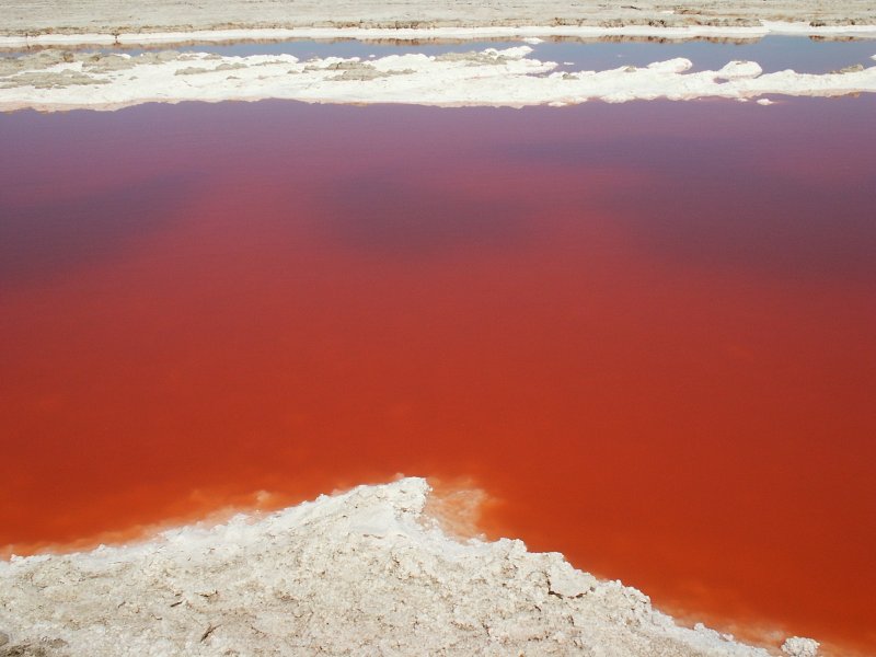 Красный водоем