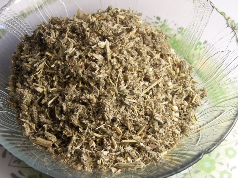 Шандра сушеная