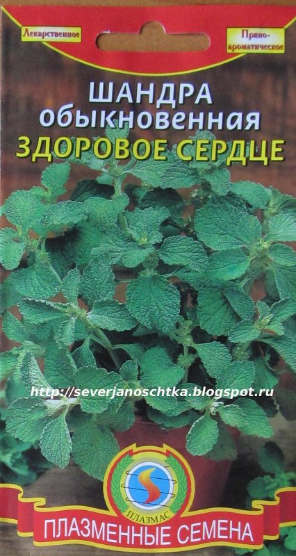 Семена шандры