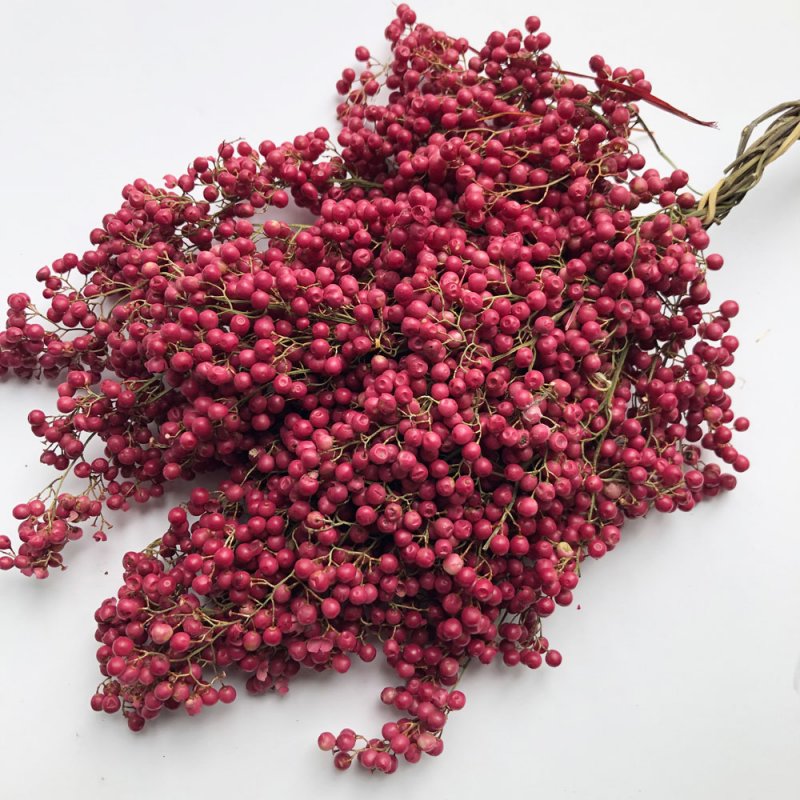 Peppercorn Tree
