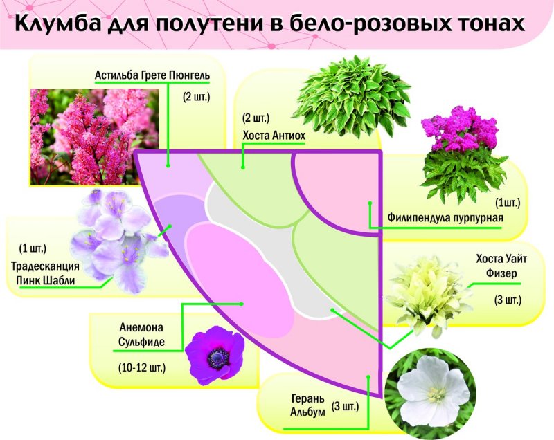 Миксбордер из многолетников и однолетников схема