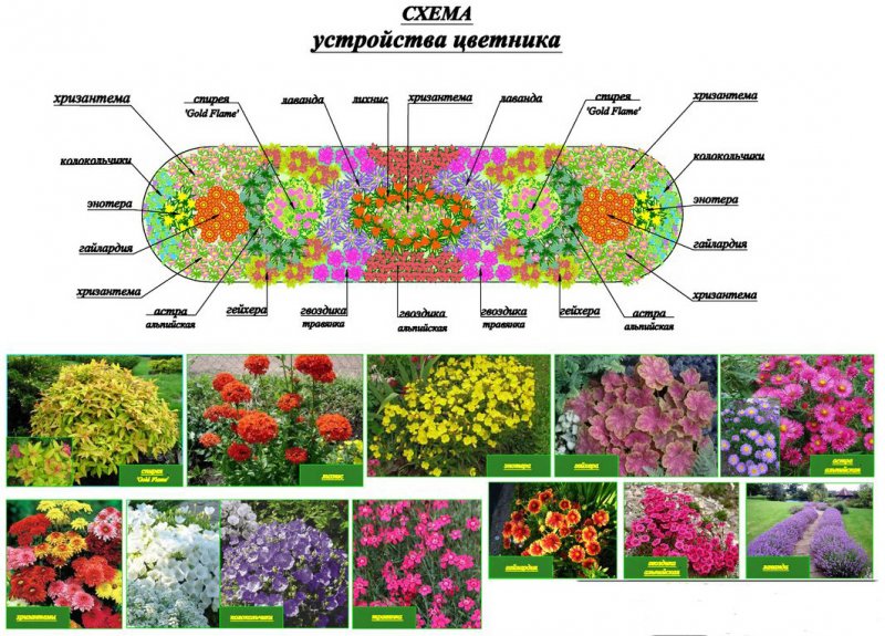 Схема рабатки непрерывного цветения