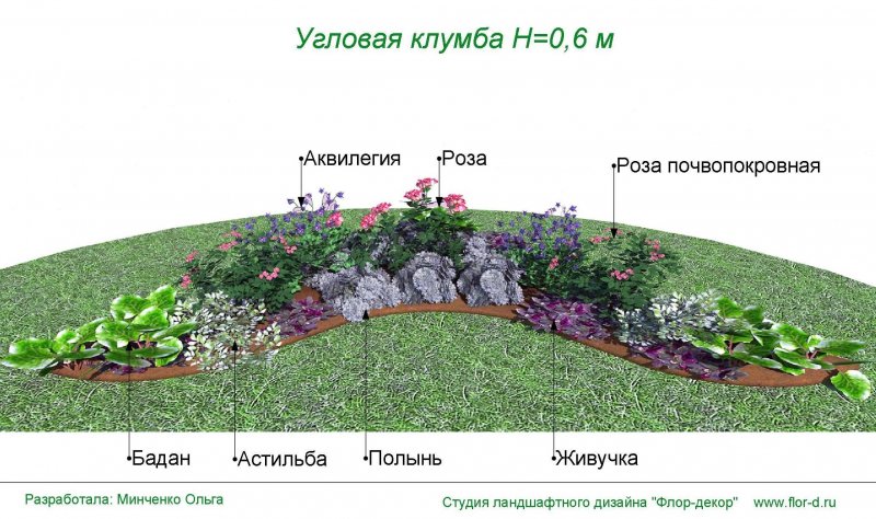 Схема посадки Розария