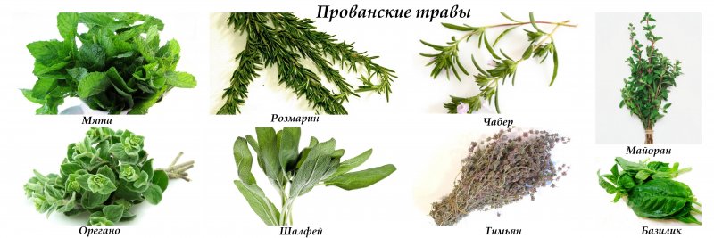 Травы приправы