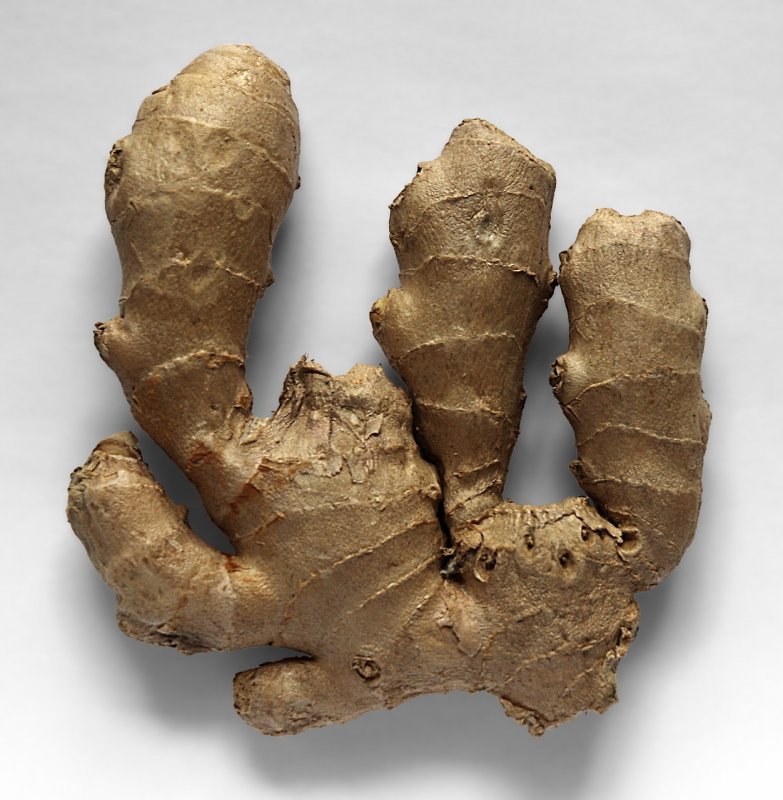 Имбирь аптечный Zingiber officinale
