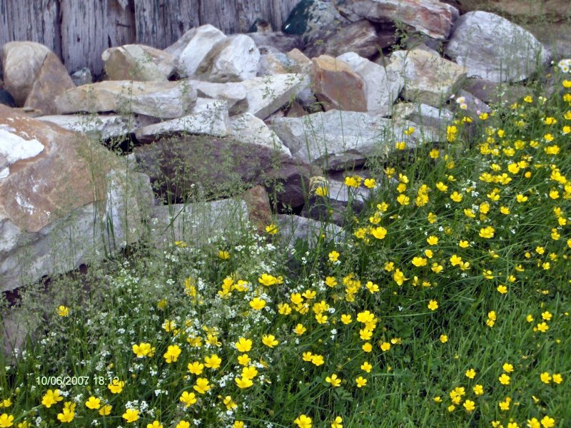 Flower Yellow камень