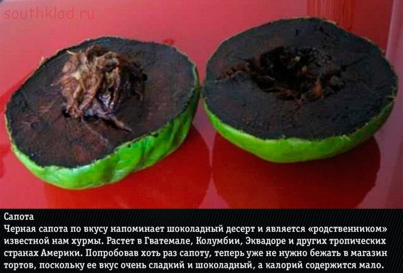 Сапота фрукт