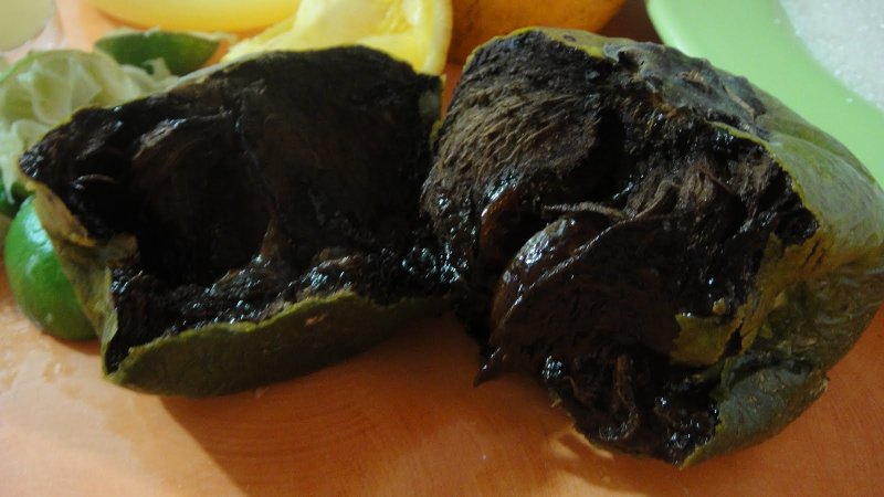 Diospyros pilosanthera